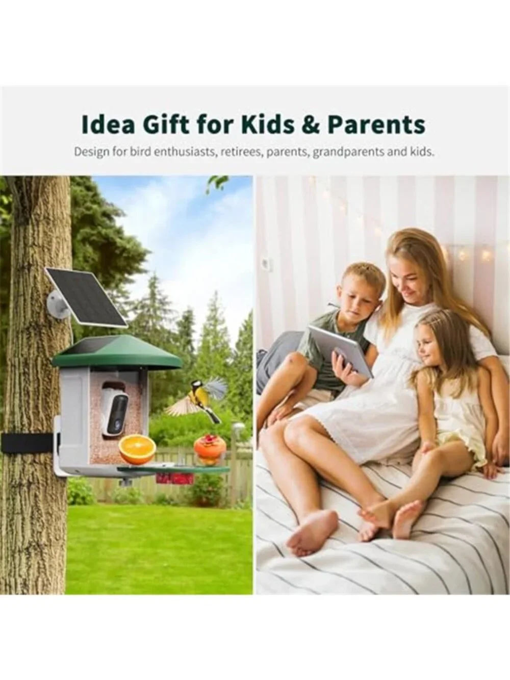 New Bird Feeder with Camera with AI Identify Birds Species Solar Powered